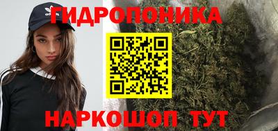 крисы Обь