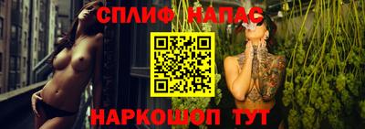 стафф Обнинск