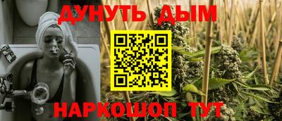 крисы Пенза