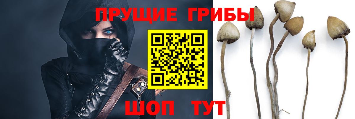 Советский  сколько стоит  Вход с VPN  Галлюциногенные грибы GOLDEN TEACHER 
