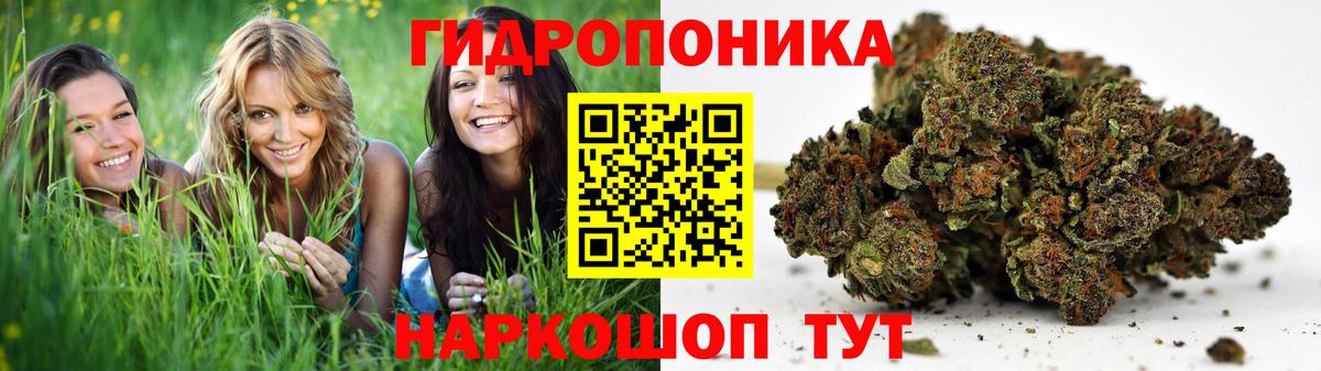 Бошки марихуана OG Kush Советский